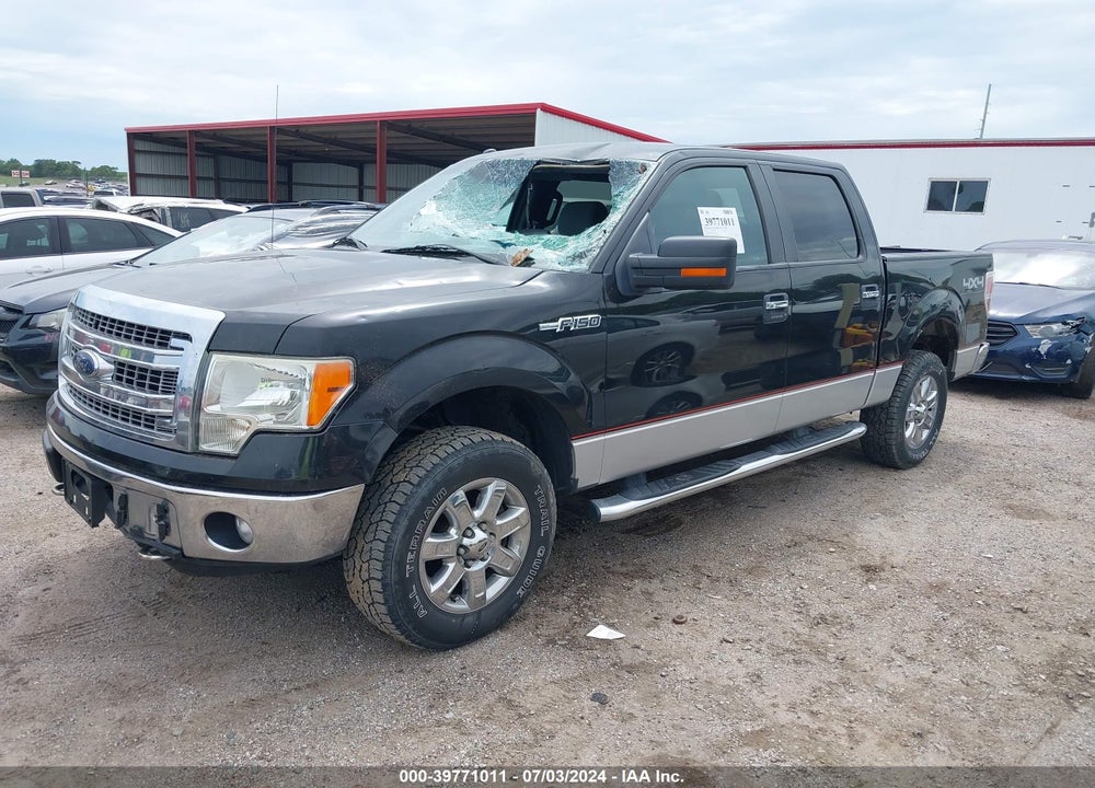 2013 FORD F-150 XLT VIN: 1FTFW1EF7DKD60436
