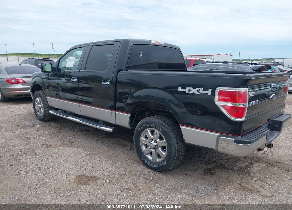 2013 FORD F-150 XLT VIN: 1FTFW1EF7DKD60436