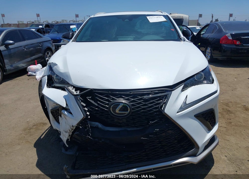 2019 LEXUS NX 300 F-SPORT VIN: JTJYARBZ5K2118758