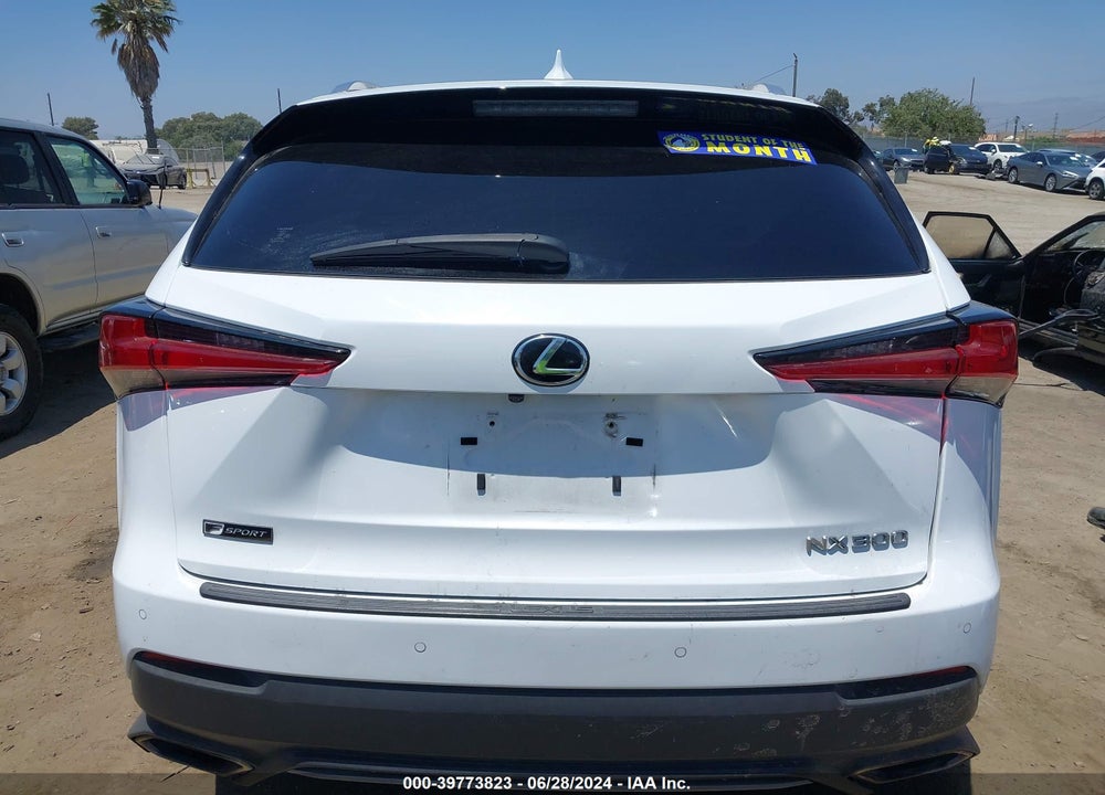2019 LEXUS NX 300 F-SPORT VIN: JTJYARBZ5K2118758