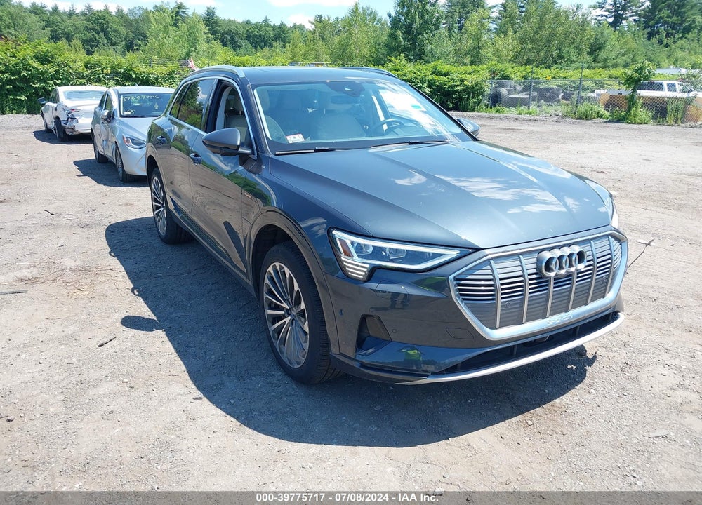 2019 AUDI E-TRON PREMIUM PLUS VIN: WA1VABGE7KB011059
