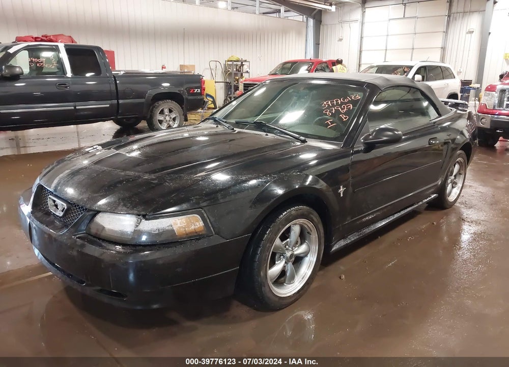 2003 FORD MUSTANG VIN: 1FAFP444X3F337504