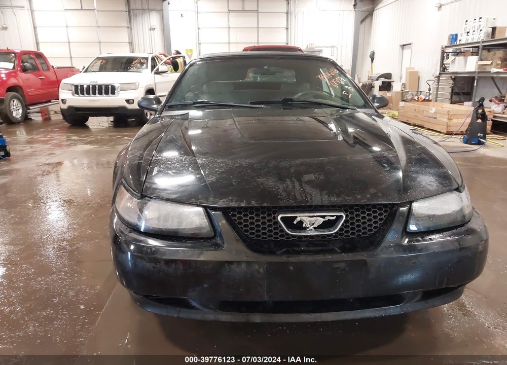 2003 FORD MUSTANG VIN: 1FAFP444X3F337504