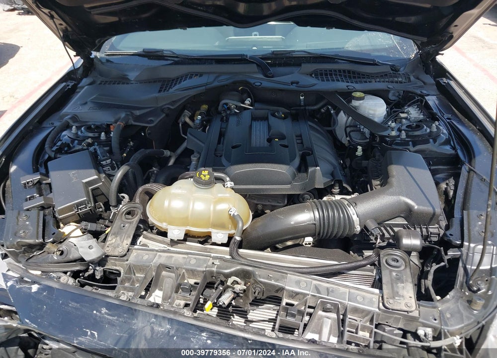 2019 FORD MUSTANG VIN: 1FATP8UH3K5104646