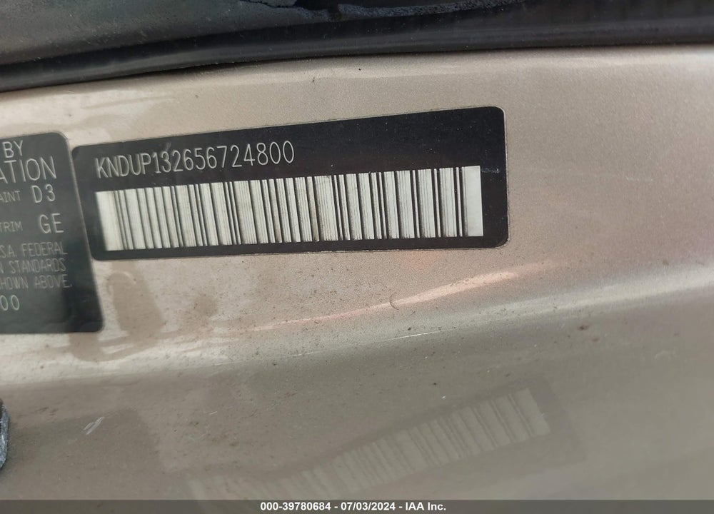2005 KIA SEDONA EX/LX VIN: KNDUP132656724800