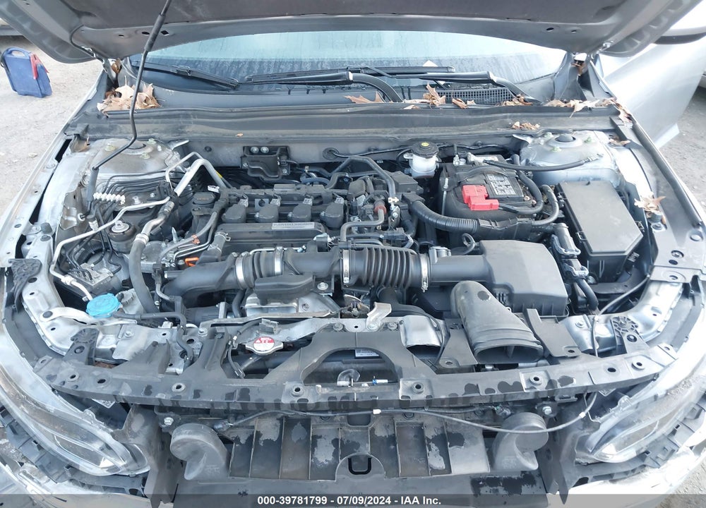 2019 HONDA ACCORD LX VIN: 1HGCV1F10KA167929
