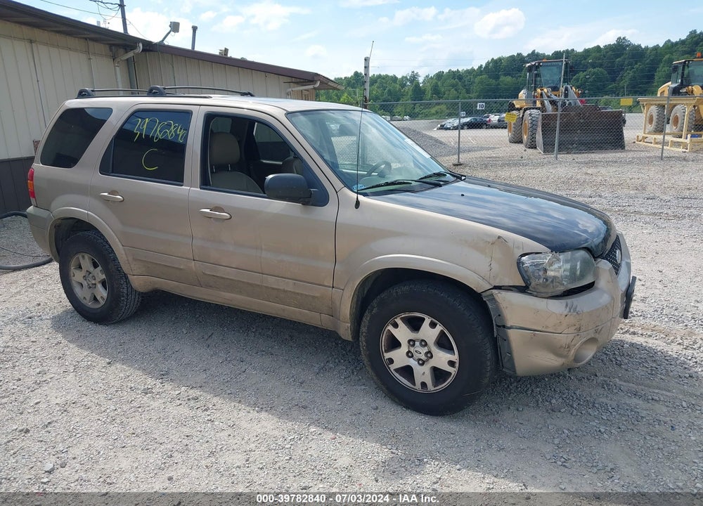 2007 FORD ESCAPE LIMITED VIN: 1FMYU04117KB34133