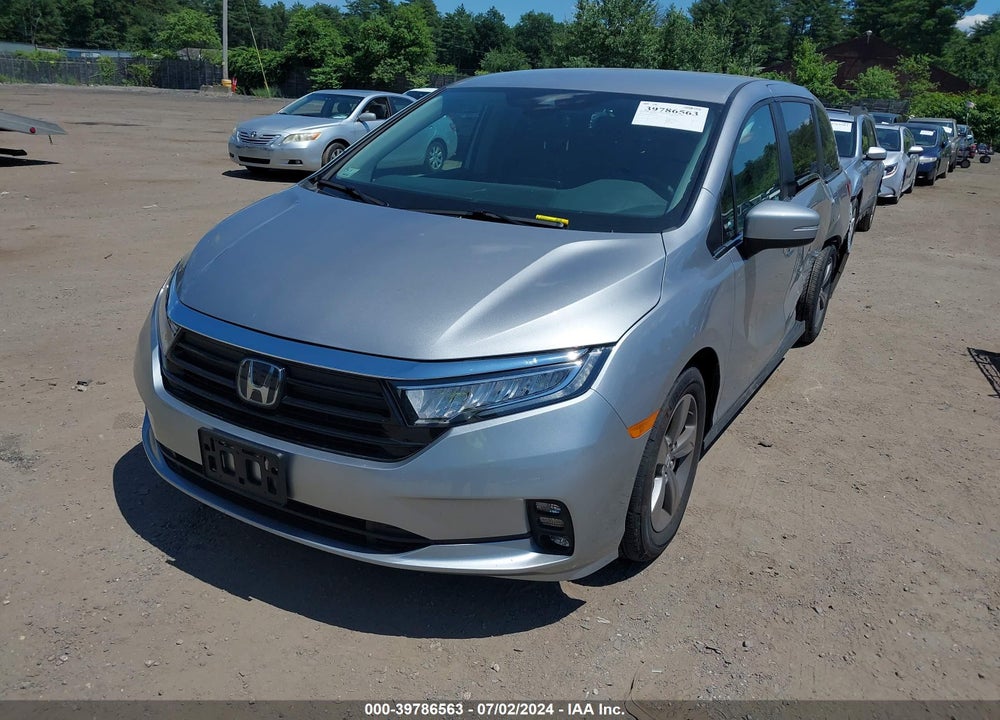 2024 HONDA ODYSSEY EX VIN: 5FNRL6H58RB011991