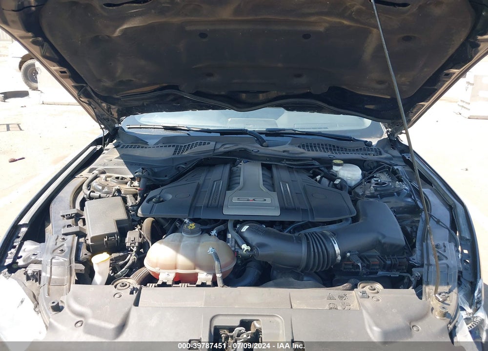 2019 FORD MUSTANG GT VIN: 1FA6P8CF8K5175208