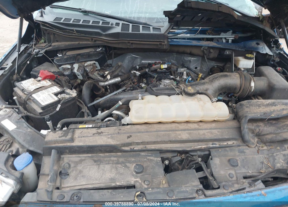 2021 FORD F-150 XL VIN: 1FTEW1CP2MFB09419