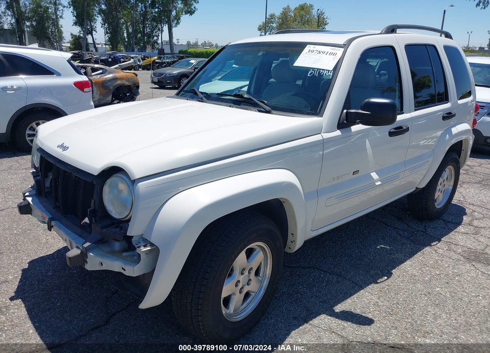 2002 JEEP LIBERTY LIMITED EDITION VIN: 1J4GK58K62W298639