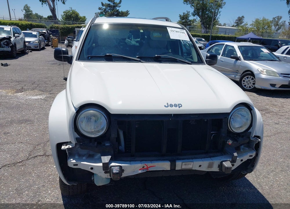 2002 JEEP LIBERTY LIMITED EDITION VIN: 1J4GK58K62W298639