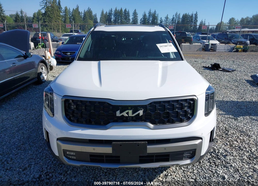 2023 KIA TELLURIDE SX X-LINE VIN: 5XYP5DGC5PG363101