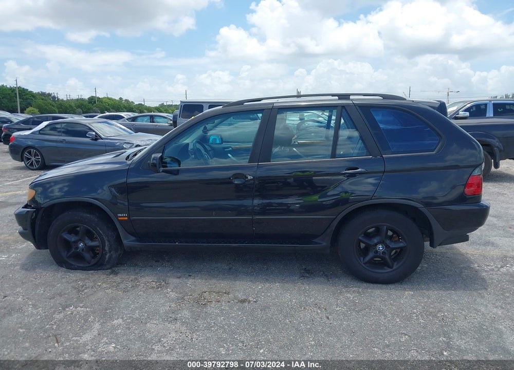2003 BMW X5 3.0I VIN: 5UXFA53533LV80258