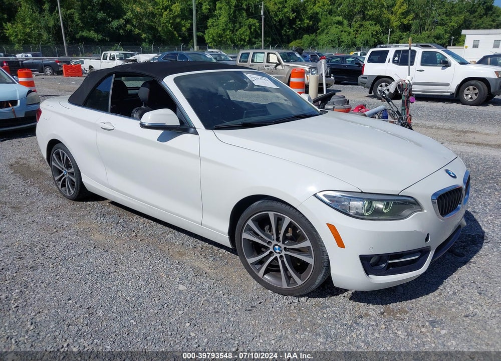 2016 BMW 228I VIN: WBA1K9C53GV321664