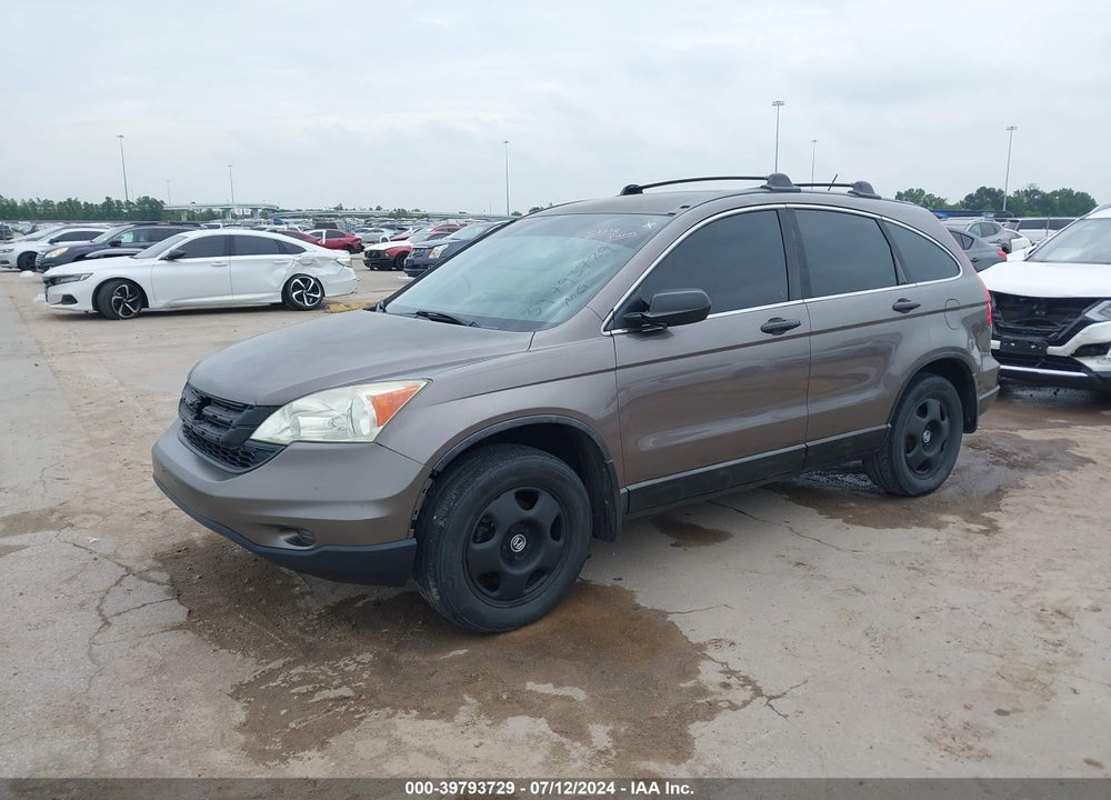 2010 HONDA CR-V VIN: 5J6RE3H33AL041760
