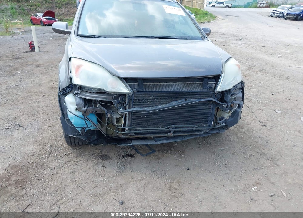 2010 HONDA CR-V EX-L VIN: 5J6RE4H70AL028604