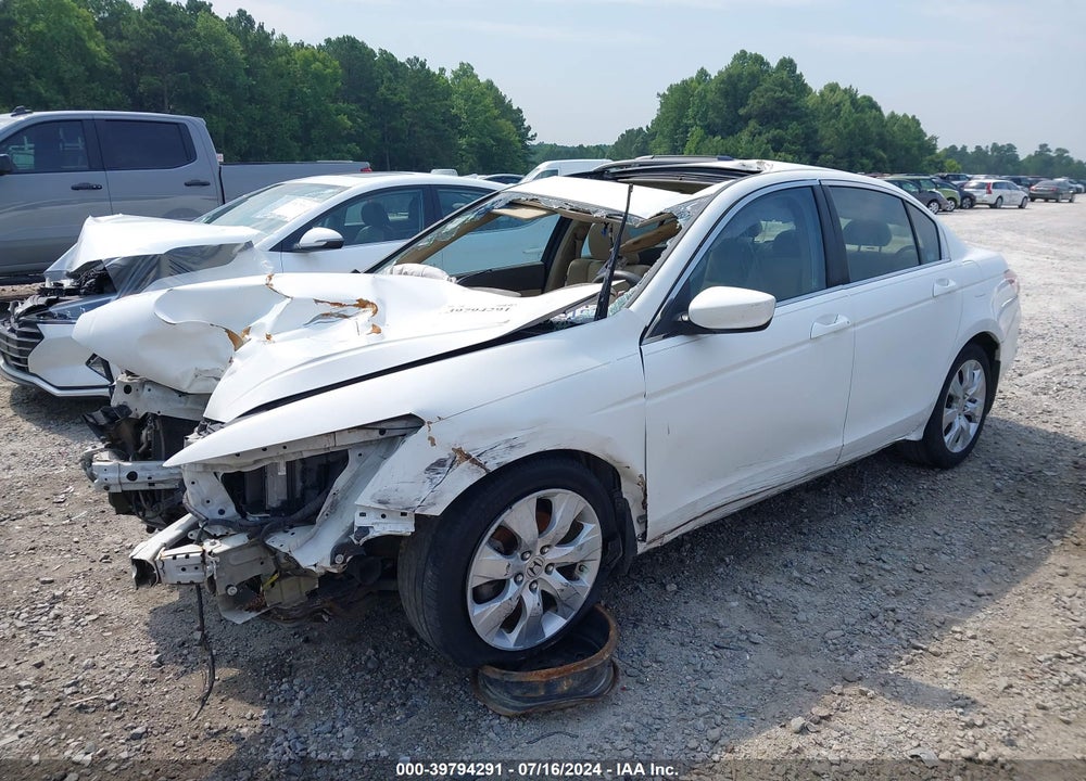 2010 HONDA ACCORD VIN: 1HGCP2F7XAA039636