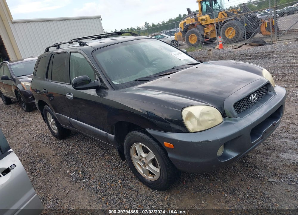 2002 HYUNDAI SANTA FE GLS/LX VIN: KM8SC13D12U300867