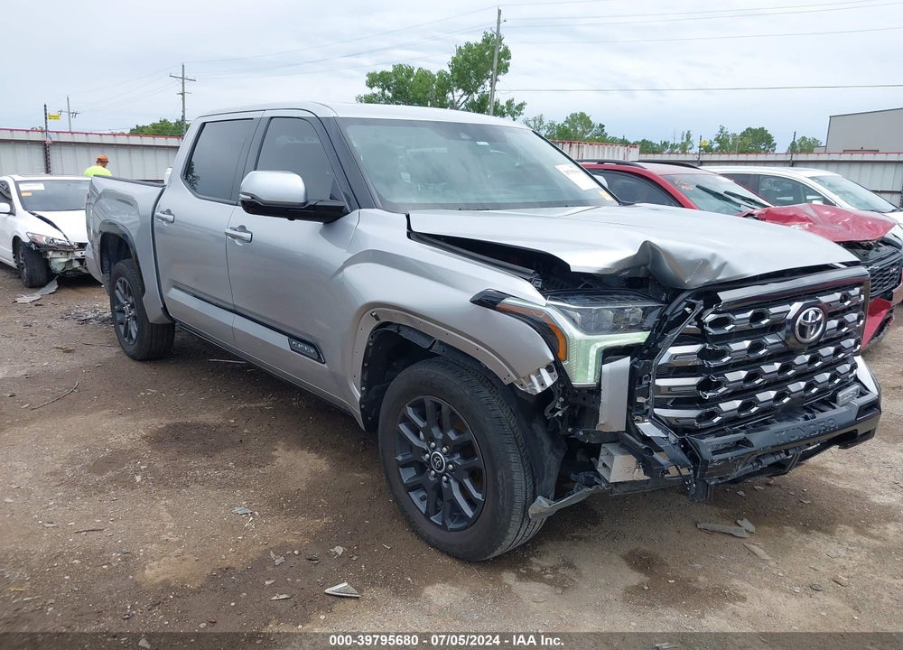 2023 TOYOTA TUNDRA PLATINUM VIN: 5TFNA5DB9PX125138