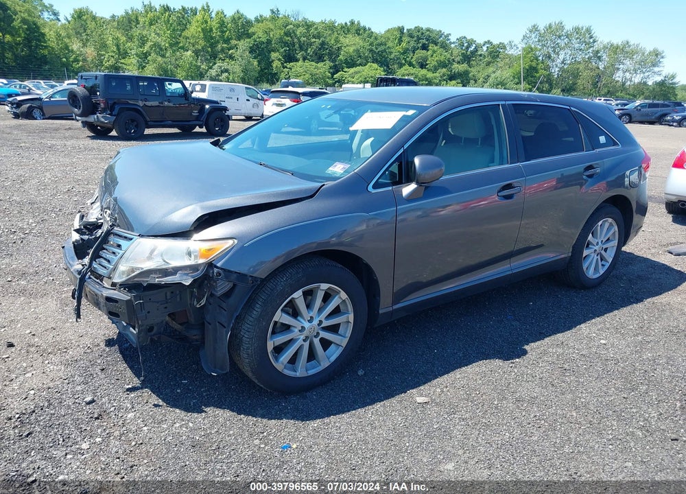 2009 TOYOTA VENZA VIN: 4T3ZE11A79U005100