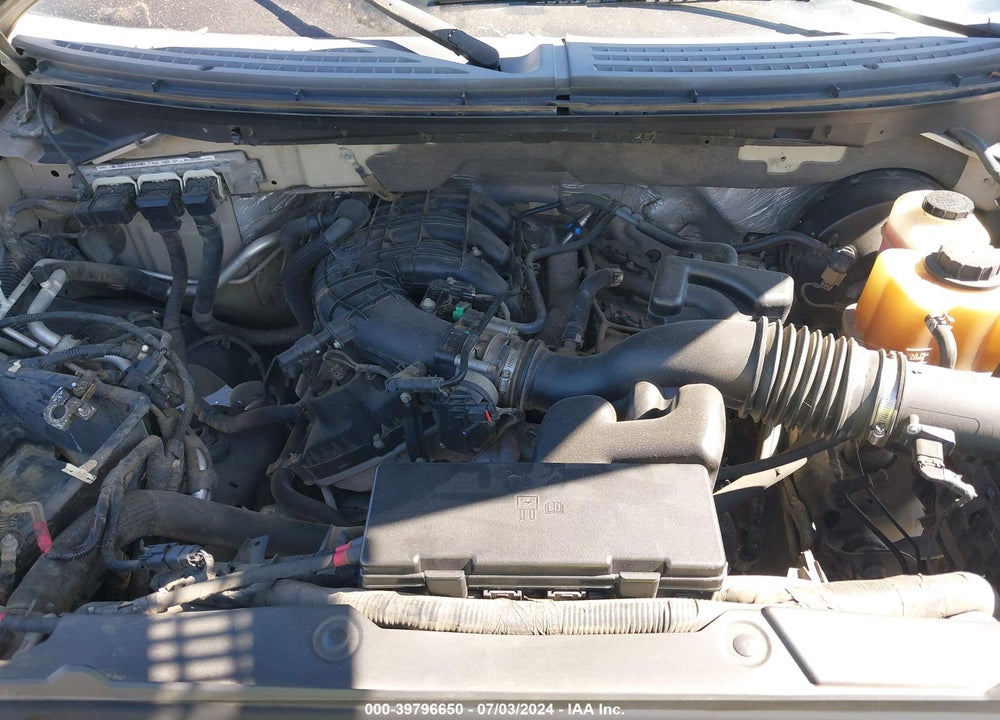 2011 FORD F-150 XLT VIN: 1FTEW1CM6BFB45746