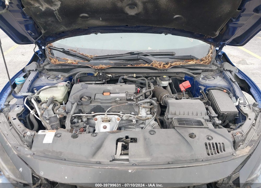 2019 HONDA CIVIC LX VIN: 2HGFC2F67KH606503