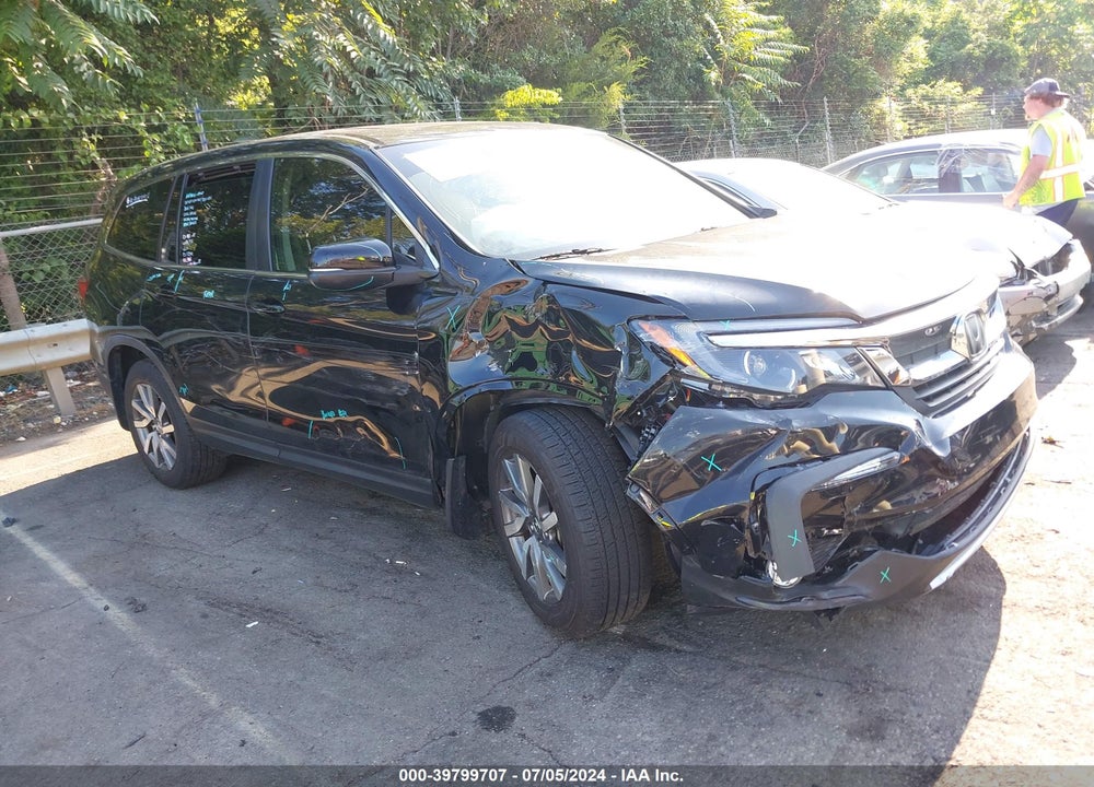 2019 HONDA PILOT EX-L VIN: 5FNYF5H52KB015294