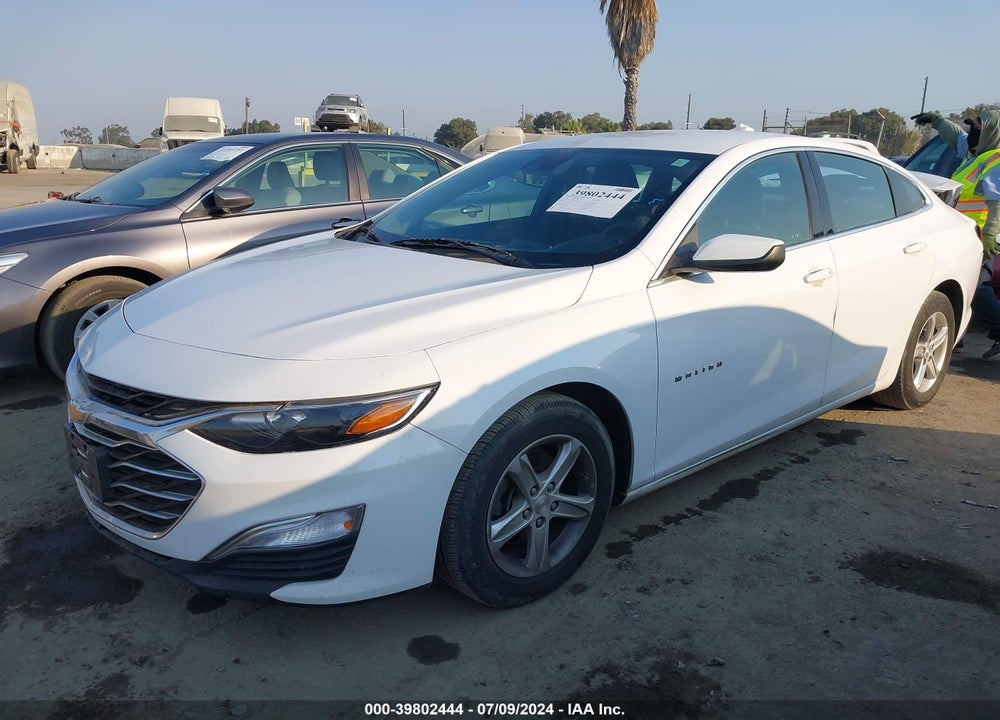 2019 CHEVROLET MALIBU 1FL VIN: 1G1ZC5ST0KF136298