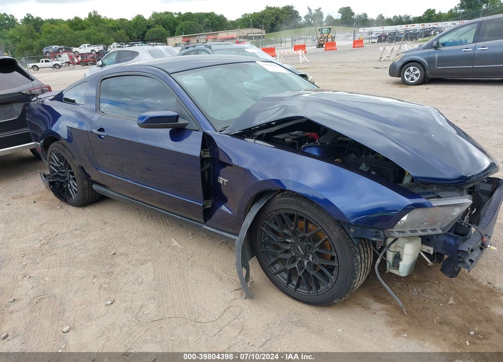 2010 FORD MUSTANG GT PREMIUM VIN: 1ZVBP8CH9A5134883