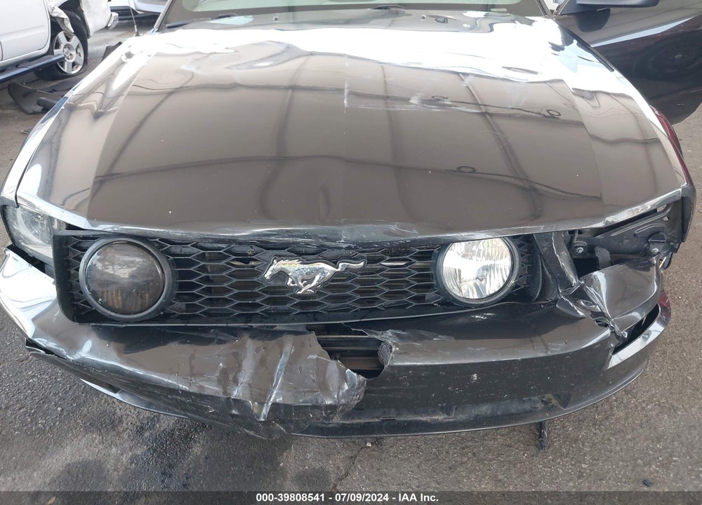 2007 FORD MUSTANG GT DELUXE/GT PREMIUM VIN: 1ZVHT85HX75369188