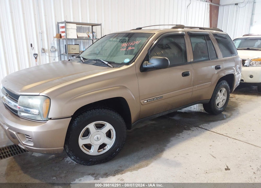 2002 CHEVROLET TRAILBLAZER VIN: 1GNDT13S222427139