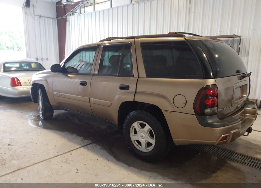 2002 CHEVROLET TRAILBLAZER VIN: 1GNDT13S222427139