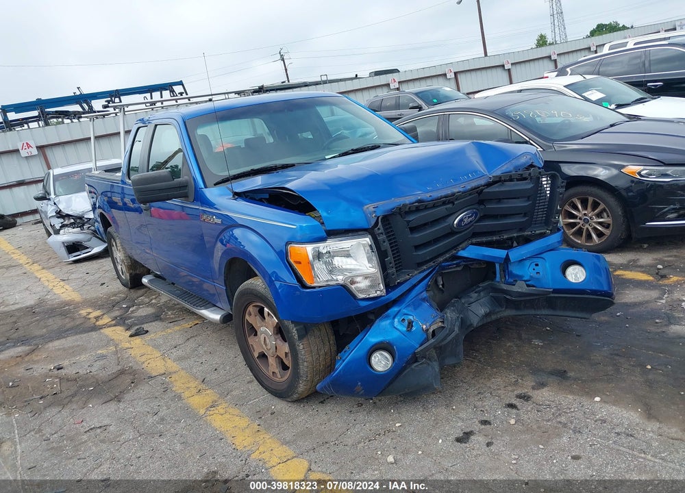 2009 FORD F-150 STX/XL VIN: 1FTRX12W39FA96632