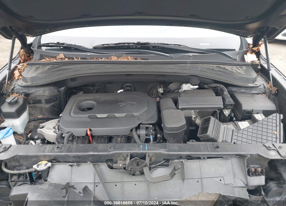 2019 HYUNDAI SANTA FE VIN: 5NMS2CAD7KH027611