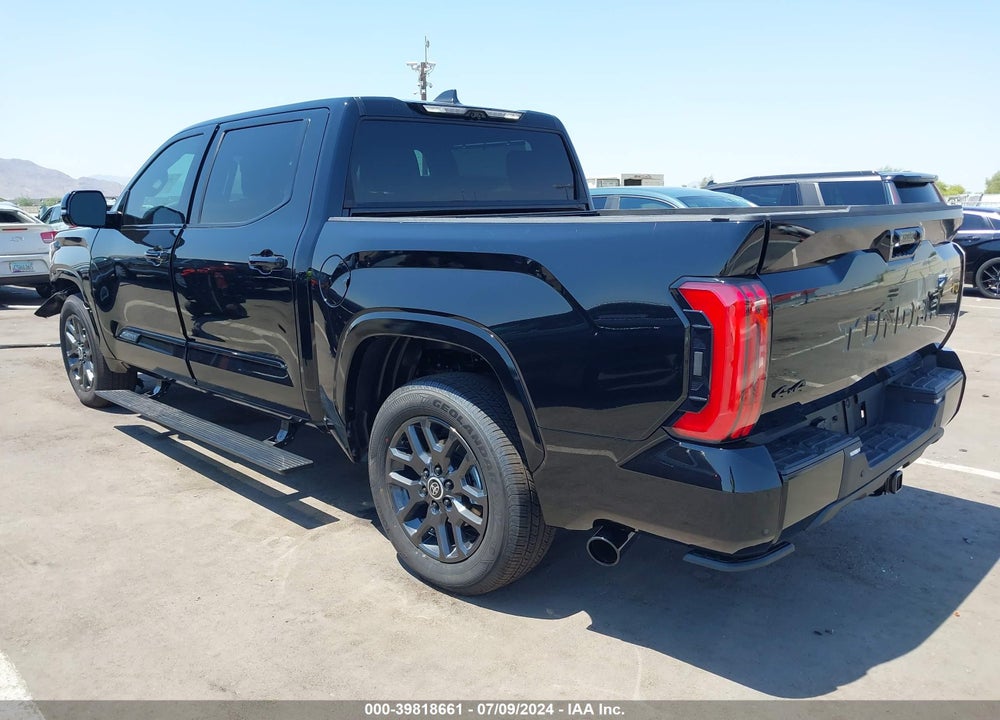 2024 TOYOTA TUNDRA PLATINUM VIN: 5TFNA5DB3RX196418