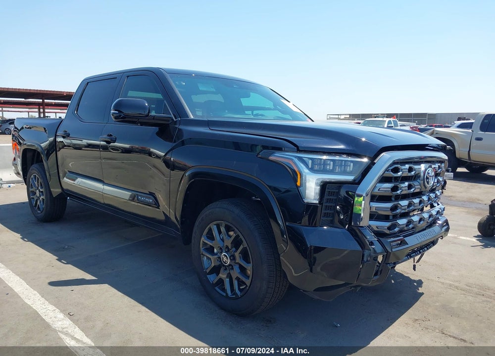 2024 TOYOTA TUNDRA PLATINUM VIN: 5TFNA5DB3RX196418