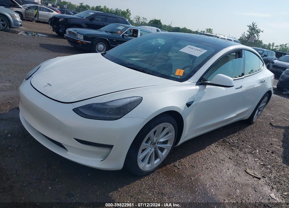 2023 TESLA MODEL 3 REAR-WHEEL DRIVE VIN: 5YJ3E1EA3PF488734