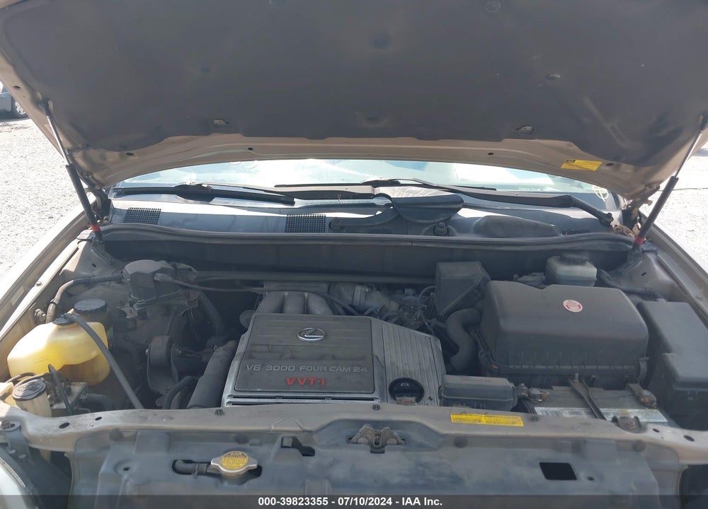 2001 LEXUS RX 300 VIN: JTJHF10U510224907
