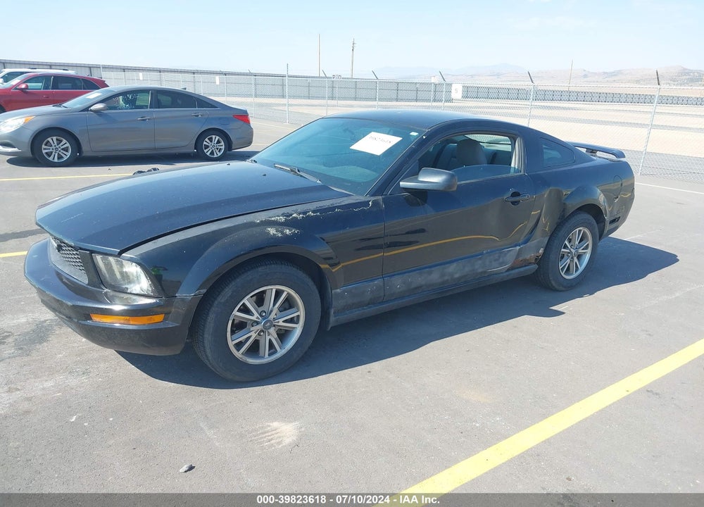 2005 FORD MUSTANG V6 DELUXE/V6 PREMIUM VIN: 1ZVFT80N655116113