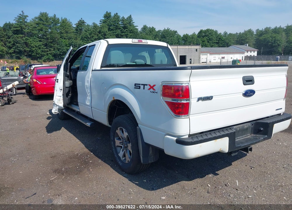 2013 FORD F-150 STX VIN: 1FTFX1EF3DKE37185