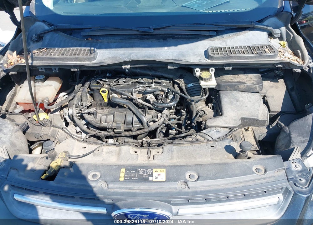 2014 FORD ESCAPE VIN: 1FMCU0GX9EUD47665