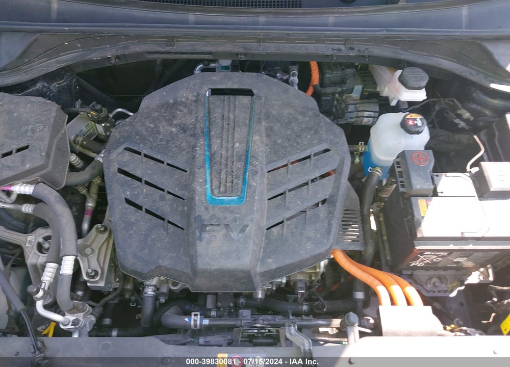 2019 KIA NIRO EV EX VIN: KNDCC3LG8K5016449
