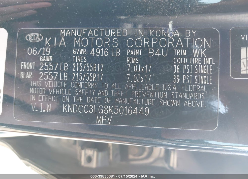 2019 KIA NIRO EV EX VIN: KNDCC3LG8K5016449