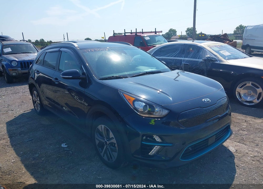 2019 KIA NIRO EV EX VIN: KNDCC3LG8K5016449