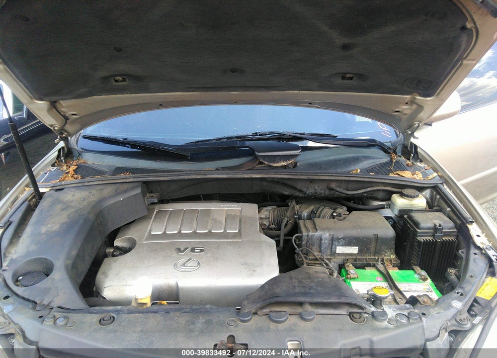 2007 LEXUS RX 350 VIN: 2T2HK31U97C005337