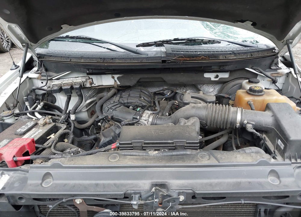 2012 FORD F-150 XL VIN: 1FTMF1CM1CKE25336