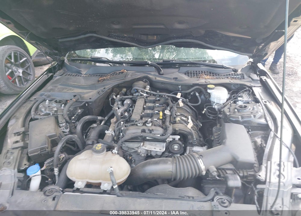 2021 FORD MUSTANG ECOBOOST FASTBACK VIN: 1FA6P8TH6M5157844