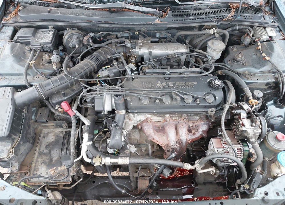 1996 HONDA ACCORD LX/EX VIN: 1HGCD5637TA255504