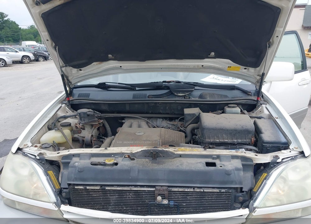 2001 LEXUS RX 300 VIN: JTJHF10U310207345